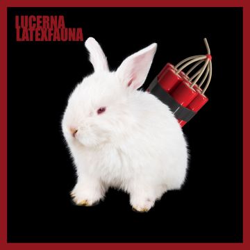 ​LATEXFAUNA - LUCERNA